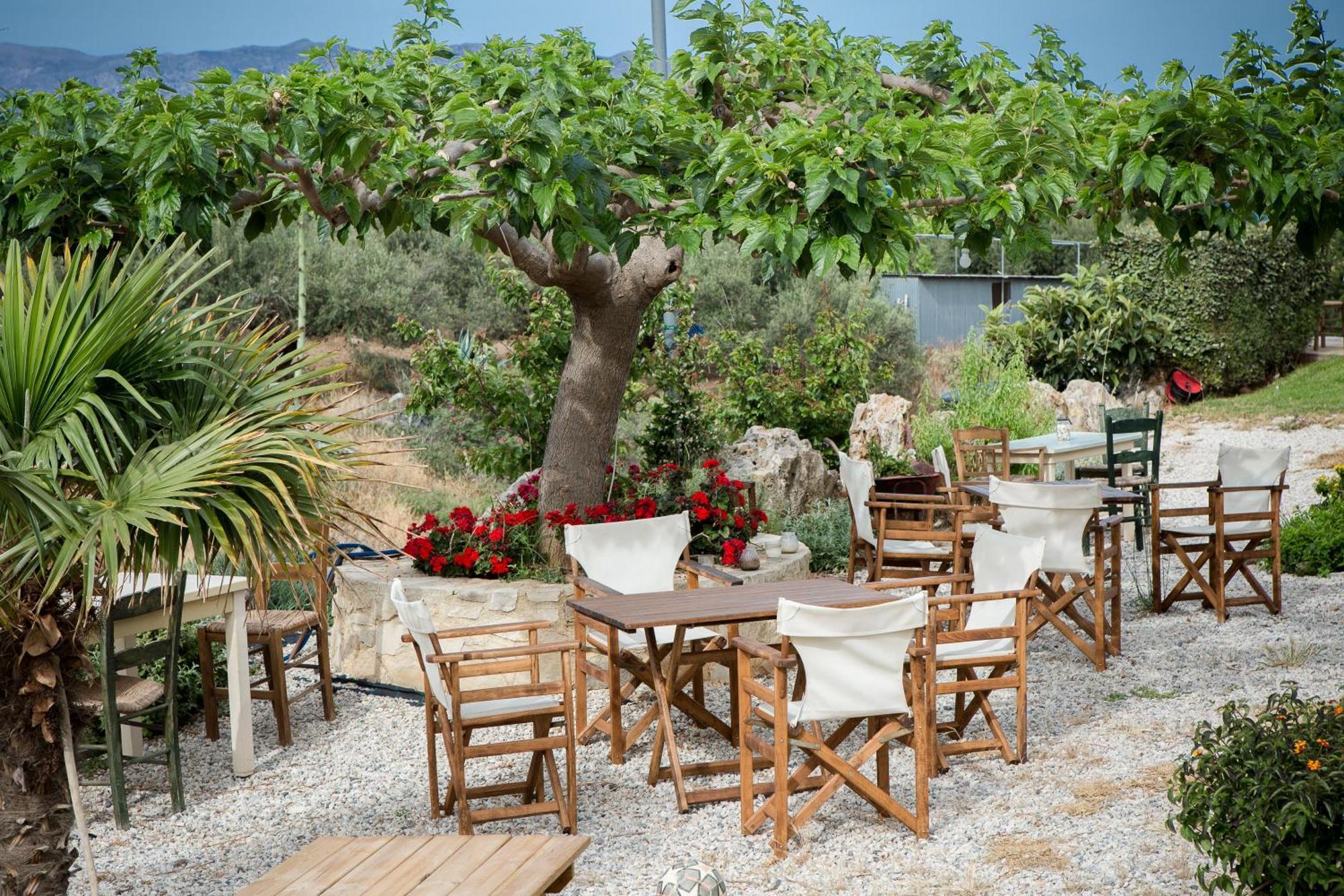 Agarathos Traditional Rooms - Pool - Kaliviani -On The Road To Balos Buitenkant foto